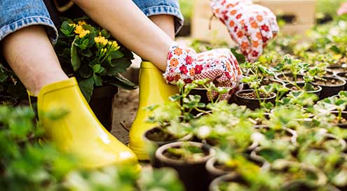 Vêtement pour le jardin