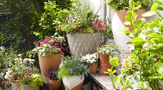 Pots, jardinières et carrés potagers